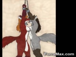 3d soberbo furry foxes!